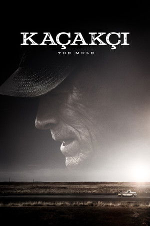 Kaçakçı | The Mule 2018