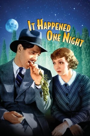Bir Gecede Oldu | It Happened One Night 1934