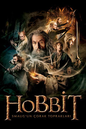 Hobbit: Smaug\'un Çorak Toprakları | The Hobbit: The Desolation of Smaug 2013