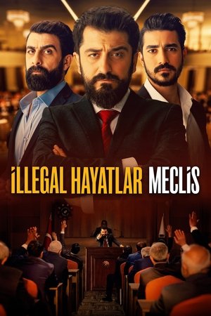 İllegal Hayatlar: Meclis 2024