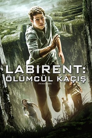 Labirent: Ölümcül Kaçış | The Maze Runner 2014