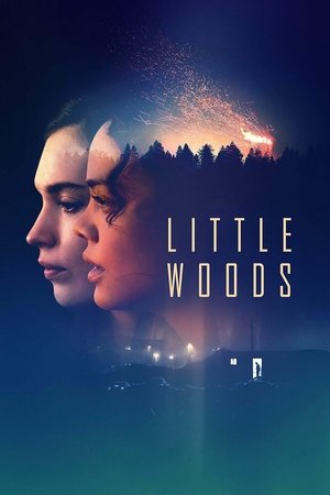 Küçük Orman | Little Woods 2018
