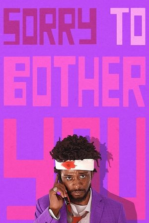 Sizi Rahatsız Ettiğim İçin Özür Dilerim | Sorry to Bother You 2018