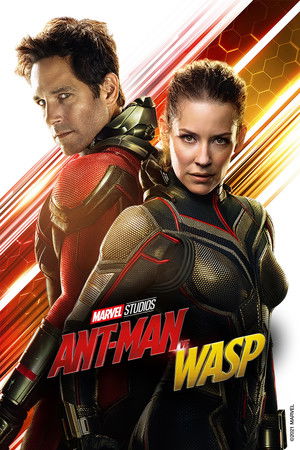Karınca Adam ve Yaban Arısı | Ant-Man ve Wasp 2018