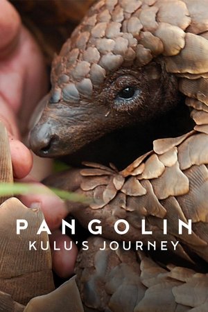 Pangolin: Kulu'nun Yolculuğu | Pangolin: Kulu's Journey 2025