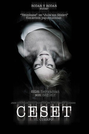 Ceset | The Body 2012